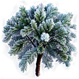 Frost Covered Bush PNG 44 PNG