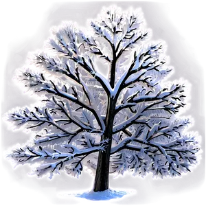 Frost Covered Snow Trees PNG 3 PNG