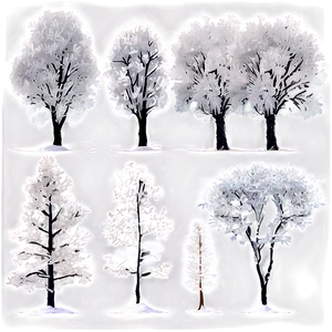 Frost Covered Snow Trees PNG 38 PNG