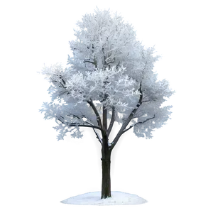 Frost Covered Trees PNG 05042024