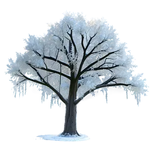 Frost Covered Trees PNG 05042024
