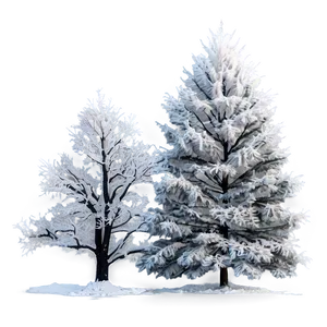 Frost Covered Winter Trees PNG 15 PNG