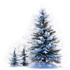 Frost Covered Winter Trees PNG Khk PNG