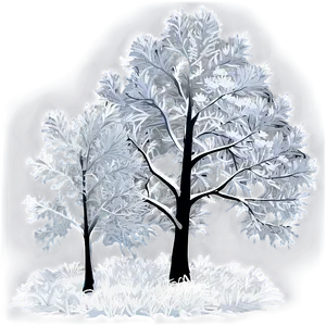Frost Covered Winter Trees PNG Lsf PNG