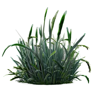 Frostbitten Grass Png 98 PNG image