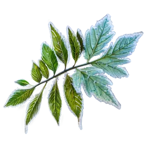 Frosted Leaves Falling PNG Hjb85 PNG