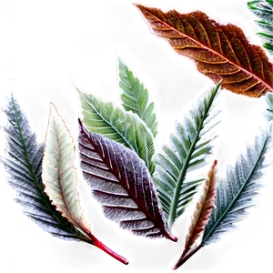 Frosted Leaves PNG 20