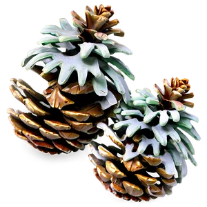 Frosted Pinecone Detail PNG 06132024