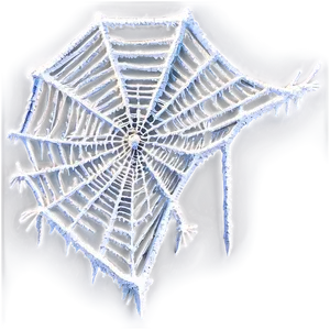 Frosted Spider Web PNG image