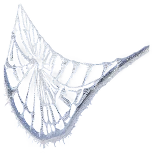 Frosted Spider Web PNG image