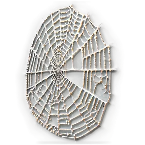 Frosted Spider Webon Dark Background