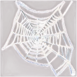 Frosted Spider Webon Dark Background PNG image