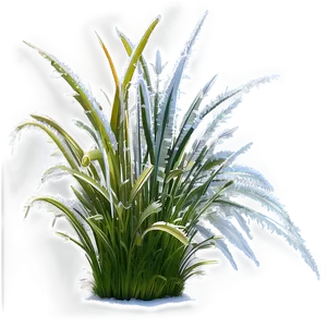 Frosted Winter Grass PNG Pkq