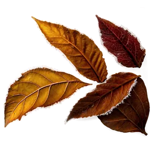 Frosty Morning Fallen Leaves Png Ssa74 PNG image