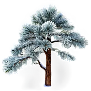 Frosty Pine Tree Png 06212024 PNG image