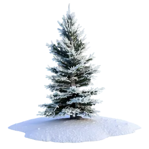 Frosty Pine Trees Png 06292024 PNG image