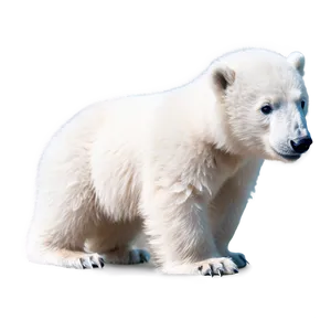 Frosty Polar Bear Cub PNG 19 PNG
