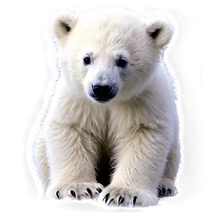 Frosty Polar Bear Cub PNG Tns PNG