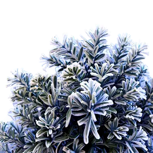 Frosty Shrub PNG Mgl PNG