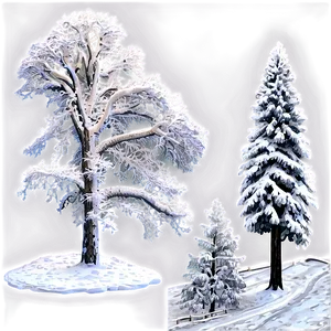 Frosty Snow Covered Trees PNG 06292024 PNG