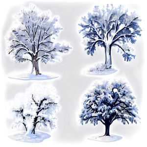 Frosty Snow Covered Trees PNG 81