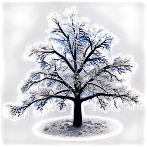 Frosty Snowy Tree Night PNG Oua PNG
