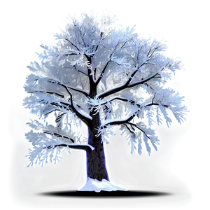 Frosty Snowy Tree Night PNG Vpi PNG