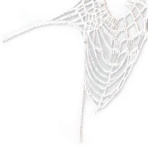 Frosty Spider Web Art
