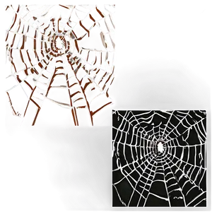 Frosty Spider Web Artwork PNG image