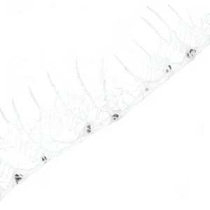 Frosty Spider Webon Branch