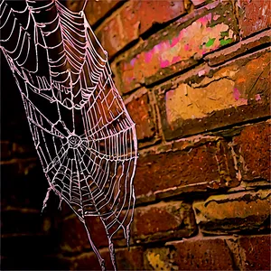Frosty Spider Webon Brick Wall PNG image
