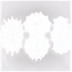Frosty Spider Webs Illustration