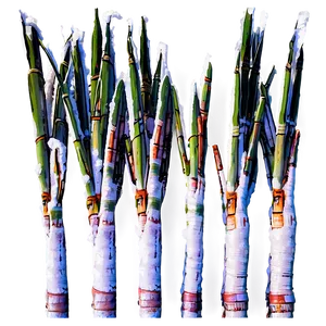 Frosty Sugarcane Field Morning PNG Sjm