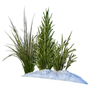 Frosty Wild Grass PNG 71