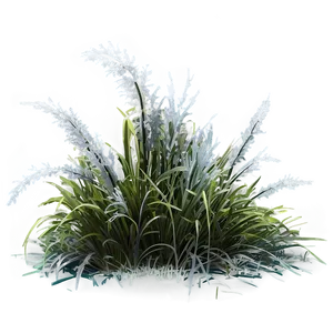 Frosty Wild Grass PNG Vtg
