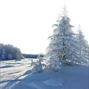 Frosty Winter Scene Png 06292024 PNG image