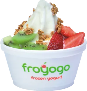 Froyogo Frozen Yogurtwith Fruitsand Granola PNG
