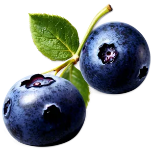 Frozen Blueberries Png 46 PNG image
