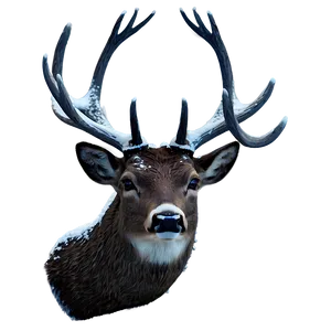 Frozen Deer Head Winter Theme PNG 75 PNG