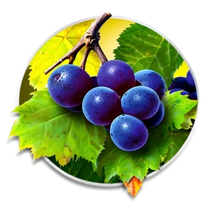 Frozen Grape PNG Aeg22