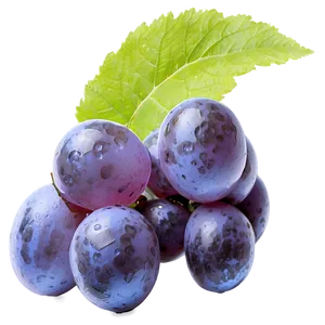 Frozen Grape PNG Bio