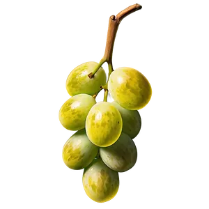 Frozen Grape PNG Srq