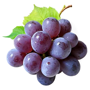 Frozen Grape PNG Ubr12