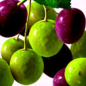 Frozen Grapes PNG 05242024