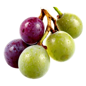 Frozen Grapes PNG 13