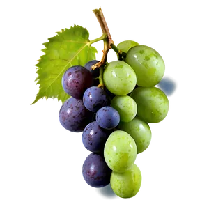Frozen Grapes PNG Gxa37