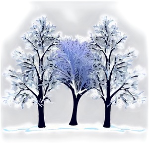 Frozen Winter Trees At Night Png 06292024 PNG image