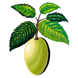 Fruit Bearing Plant Clipart PNG 06272024 PNG