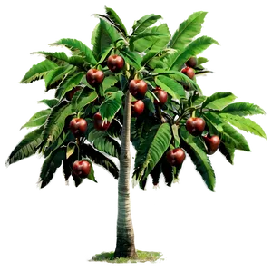 Fruit Bearing Trees PNG Fnj23