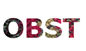 Fruit Filled Word O B S T PNG image